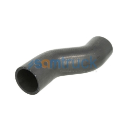 Radiator Lower Hose