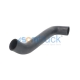 Radiator Lower Hose