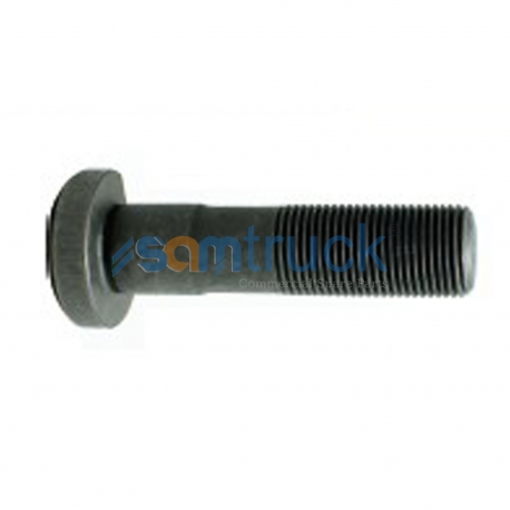 Wheel Bolt