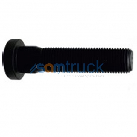 Wheel Bolt