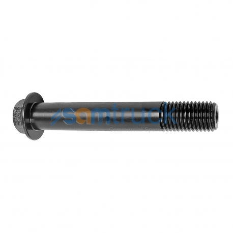 Chassis Bolt