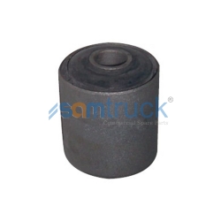 Rear Spring Front Bushing