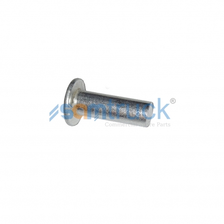 Brake lining rivet