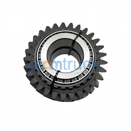 Gear, With Bearing