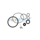 Steering Gear Repair kit