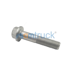 M14x1.5x70  - Chassis Bolt