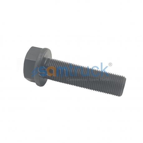 Chassis Bolt