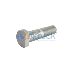 Wheel Bolt
