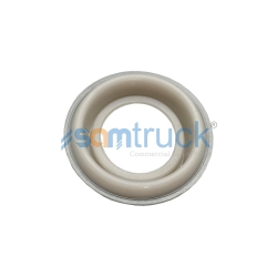 Brake Dust Seal