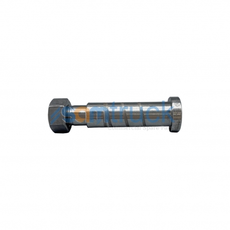 Rear Pin With Nut