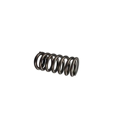 Volvo Valve Spring
