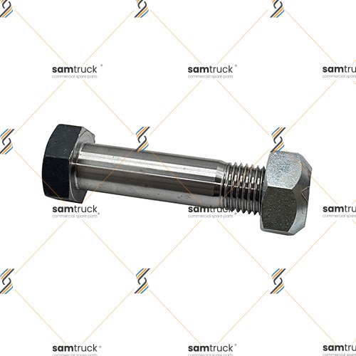 BPW DORSE - AĞIR TİP - 36MM 14 CM BUGİ KOL PERNOSU