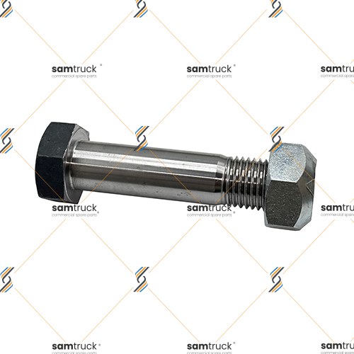 BPW DORSE - AĞIR TİP - 36MM 16 CM BUGİ KOL PERNOSU - 30150062