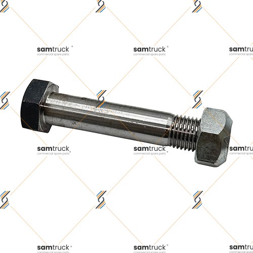 BPW DORSE - AĞIR TİP - 36MM 20 CM BUGİ KOL PERNOSU - 30150065