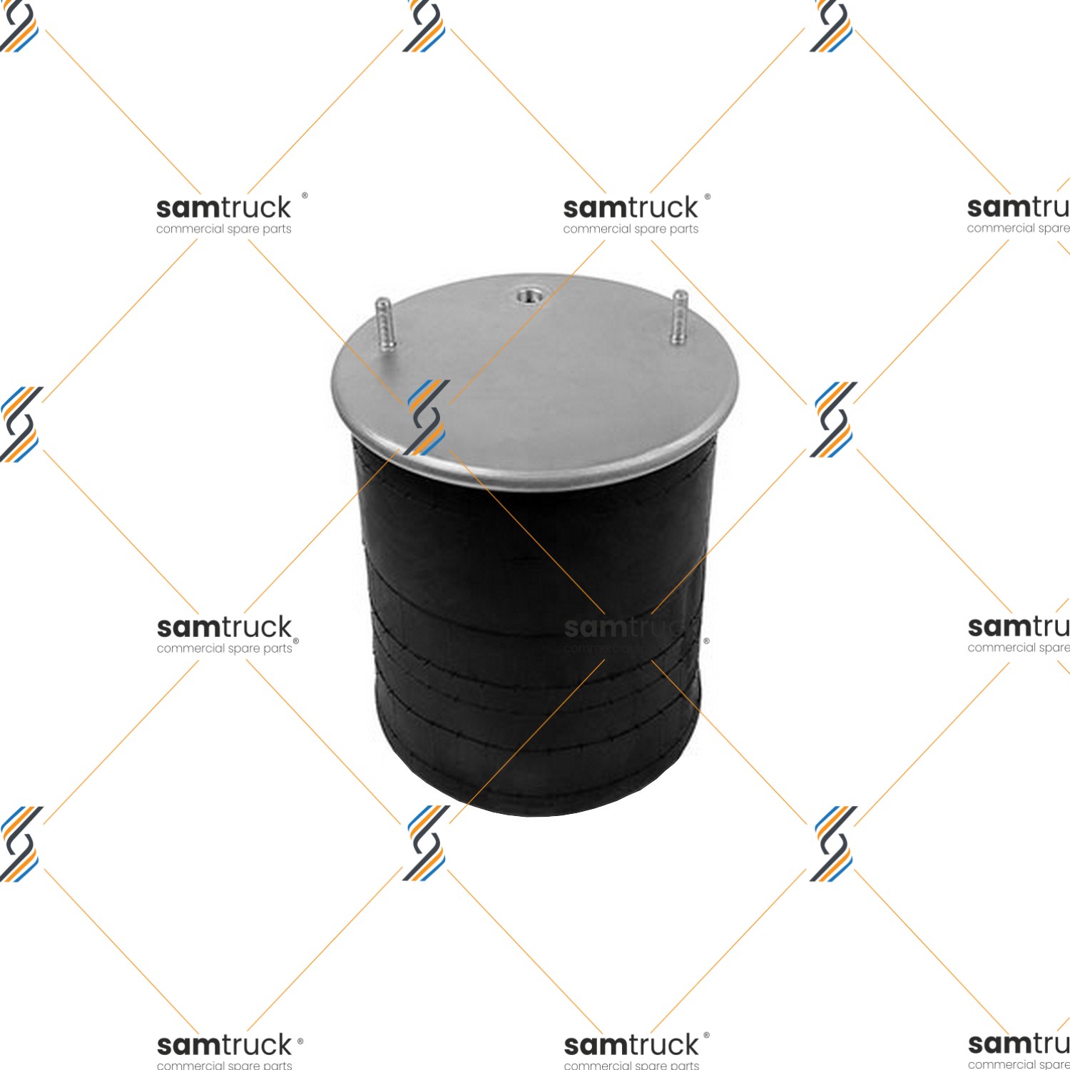 SCHMITZ DORSE SÜSPANSİYON KÖRÜĞÜ